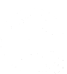 5 ACRES AND A MOOSE